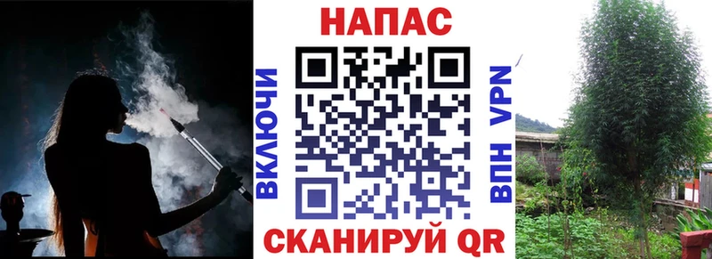 Купить наркоту Зверево Бошки Шишки  Cocaine  APVP  Галлюциногенные грибы  Мефедрон 